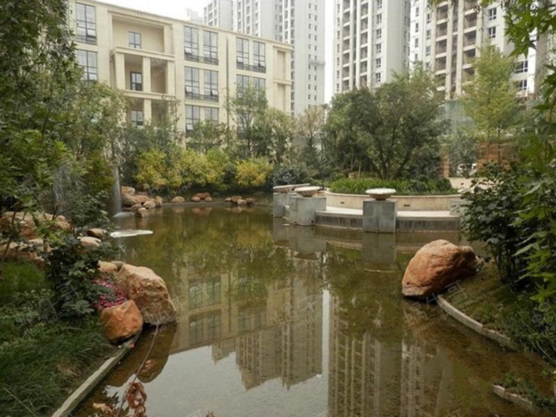 丽都壹号