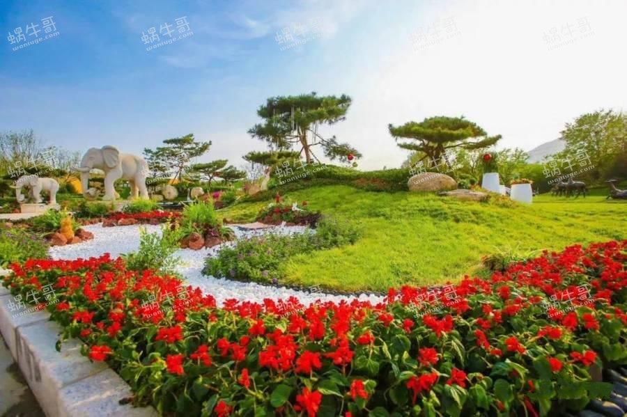 碧桂园·官厅蓝